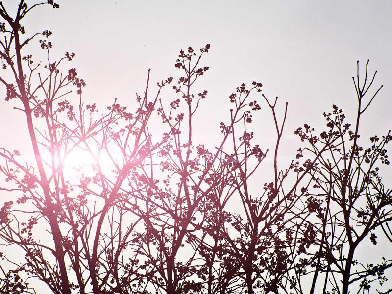 sudoku greater than screenshot 5